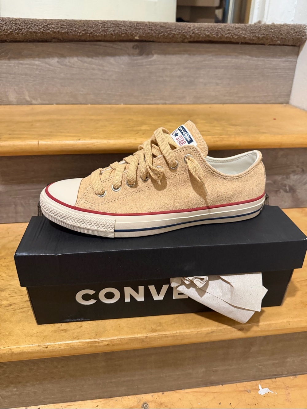 Brand new Converse Chuck Taylor low tops